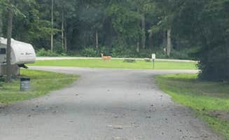 Stan P.'s photo of rv camping at Sidie Hollow County Ridge Campground near Newton, WI