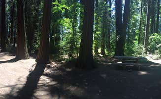 Suzanne P.'s photo of rv camping at Mount Shasta City KOA Holiday near Klamath National Forest