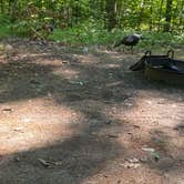 Review photo of Greenfield State Park Campground by Kitty , July 20, 2022