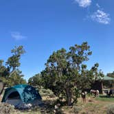 Review photo of BLM Wild Rivers Recreation Area by evelyn , July 20, 2022