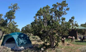 evelyn's photo at BLM Wild Rivers Recreation Area near Arroyo Seco, NM