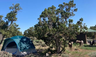 Camping near Big Arsenic Springs Campground: BLM Wild Rivers Recreation Area, San Cristobal, New Mexico