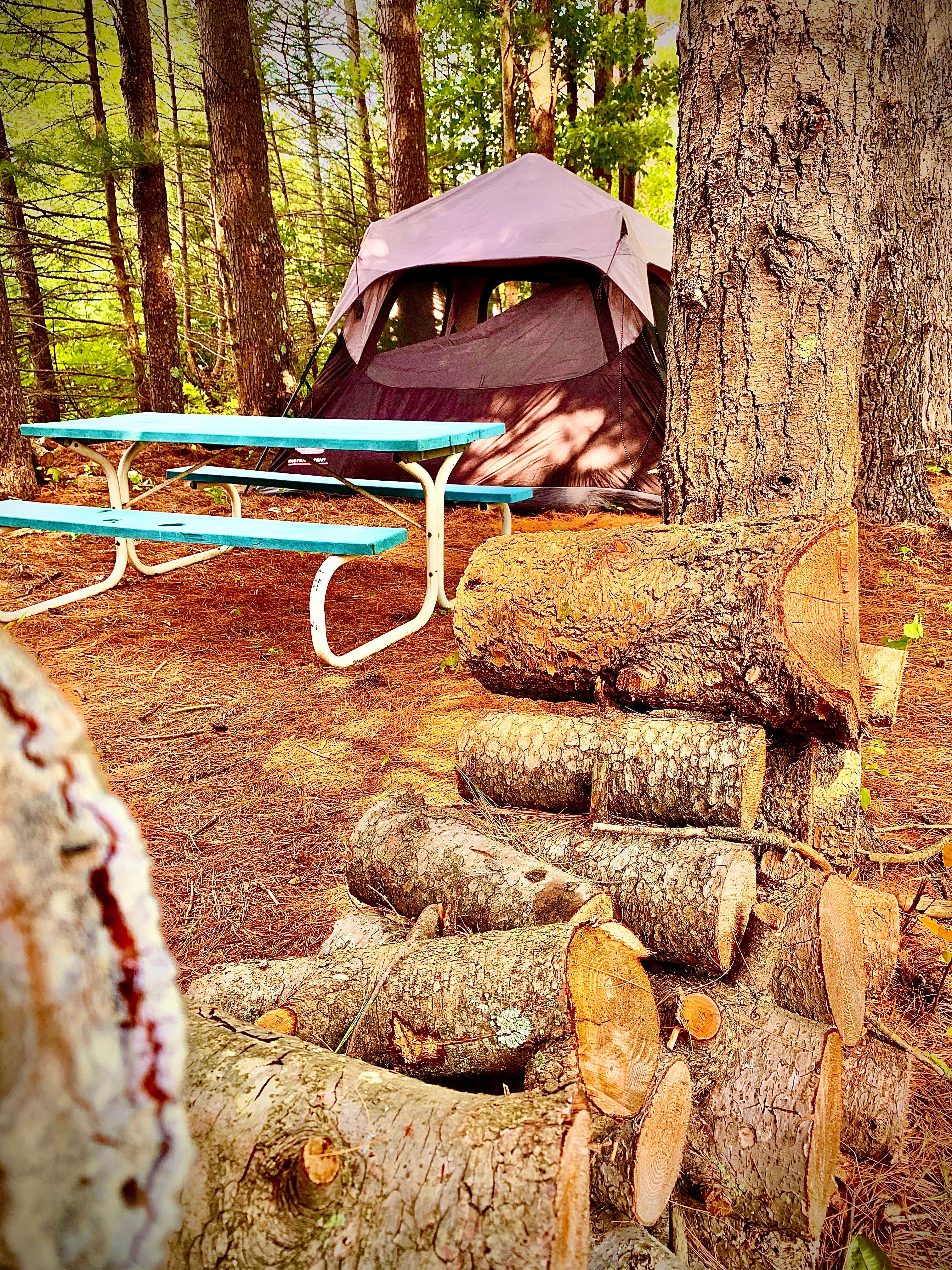 Camper-submitted photo at Camp Squid Off The Grid near Empire, MI