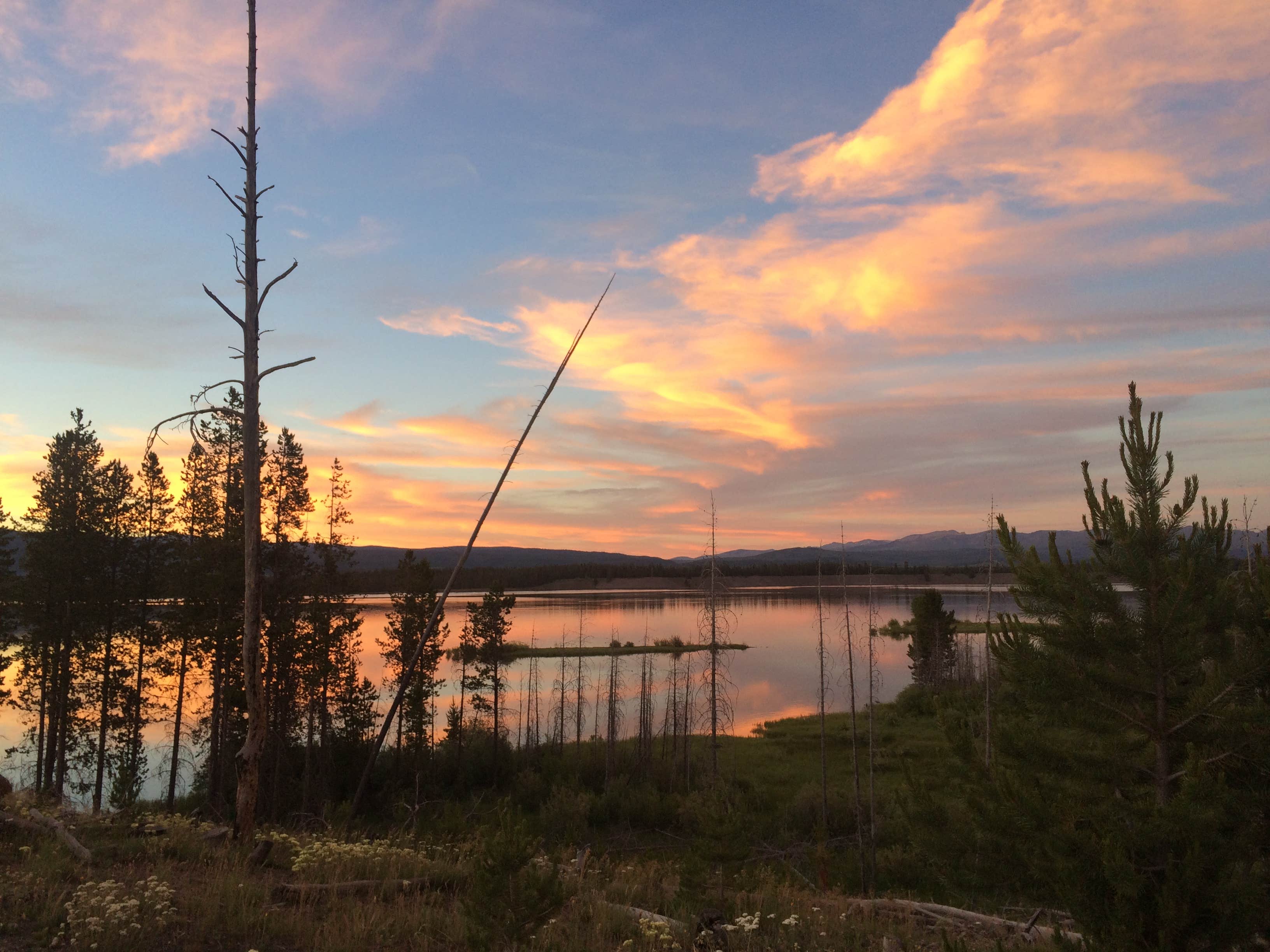 Pretty drive into the campground 