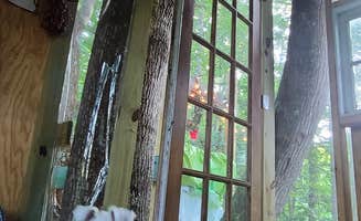 Jona H.'s photo of camping with pets at Floating Heaven in Virginia