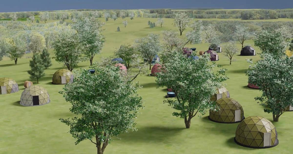 Daydreamer Domes