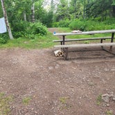 Review photo of Gooseberry Falls State Park Campground by Elaina , July 20, 2022