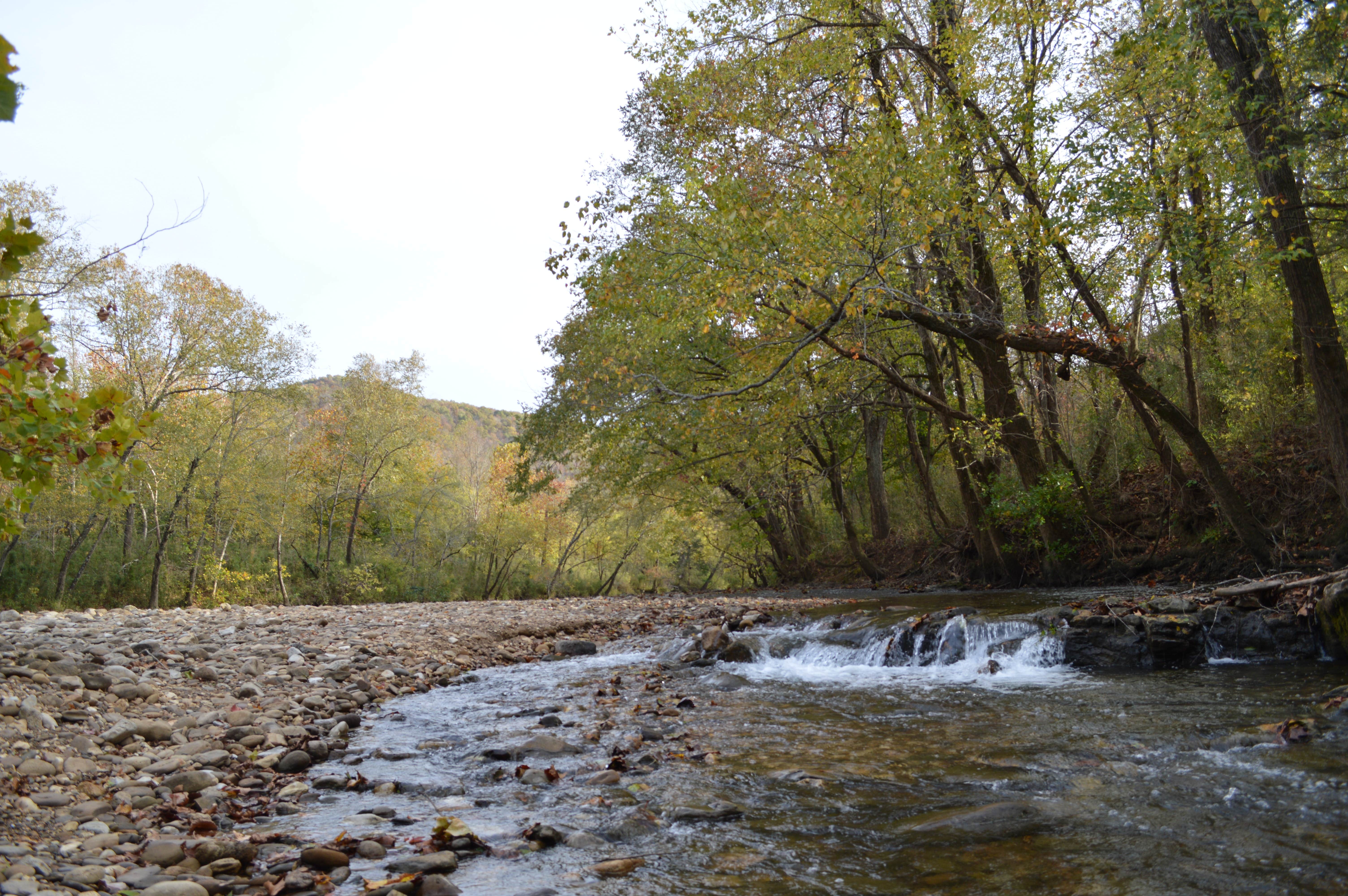 Camper submitted image from Kyles Landing Campground — Buffalo National River - 3