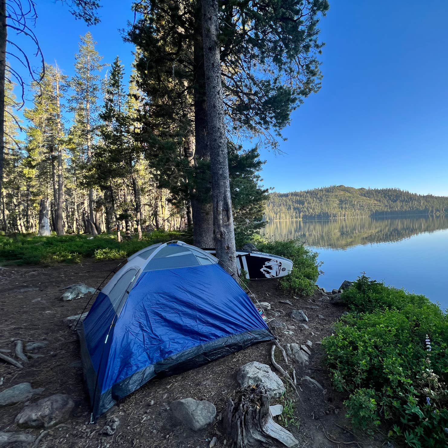 Gold Lake 4x4 Campground Camping | The Dyrt