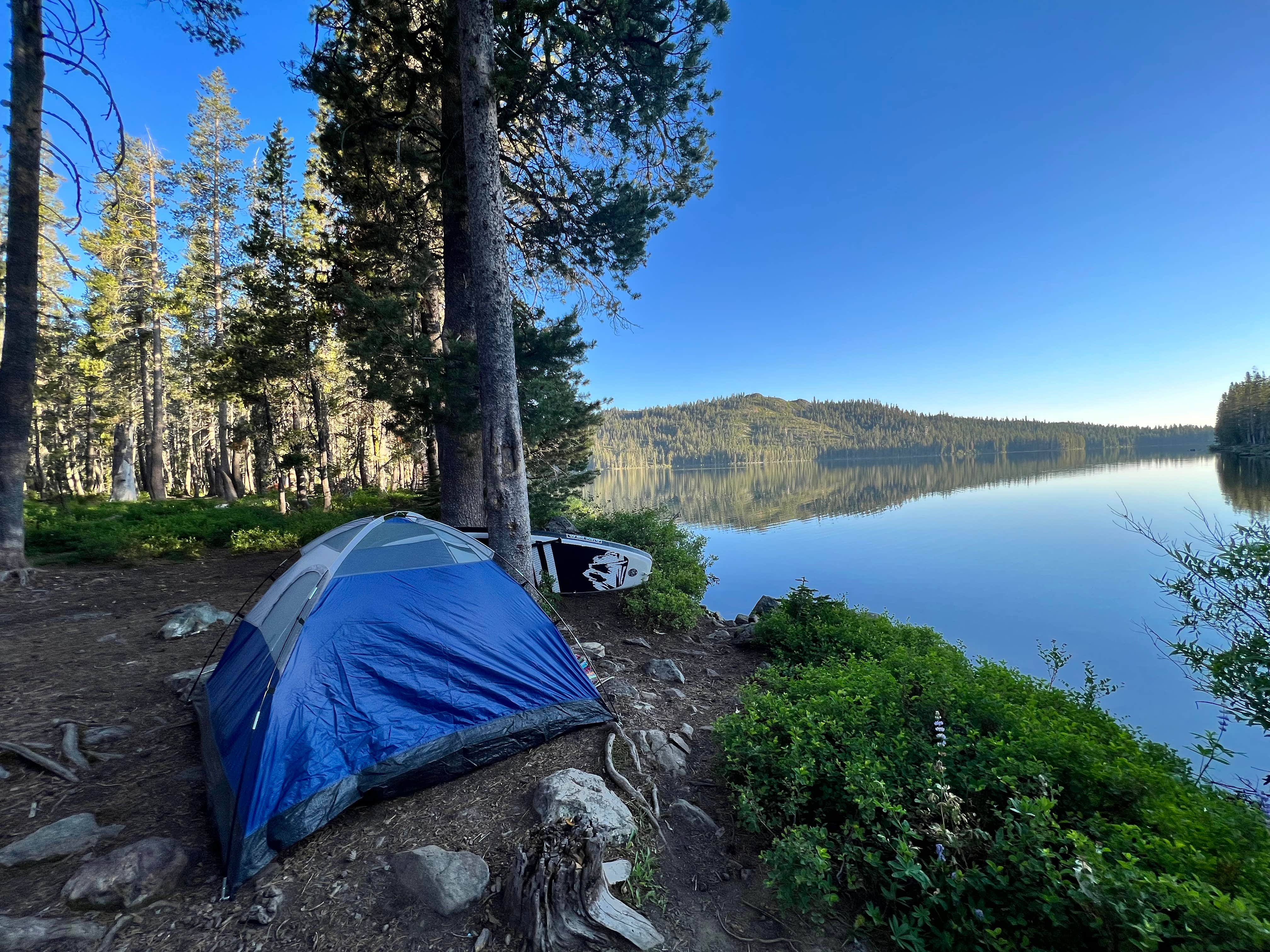 Camper submitted image from Gold Lake 4x4 Campground - 4