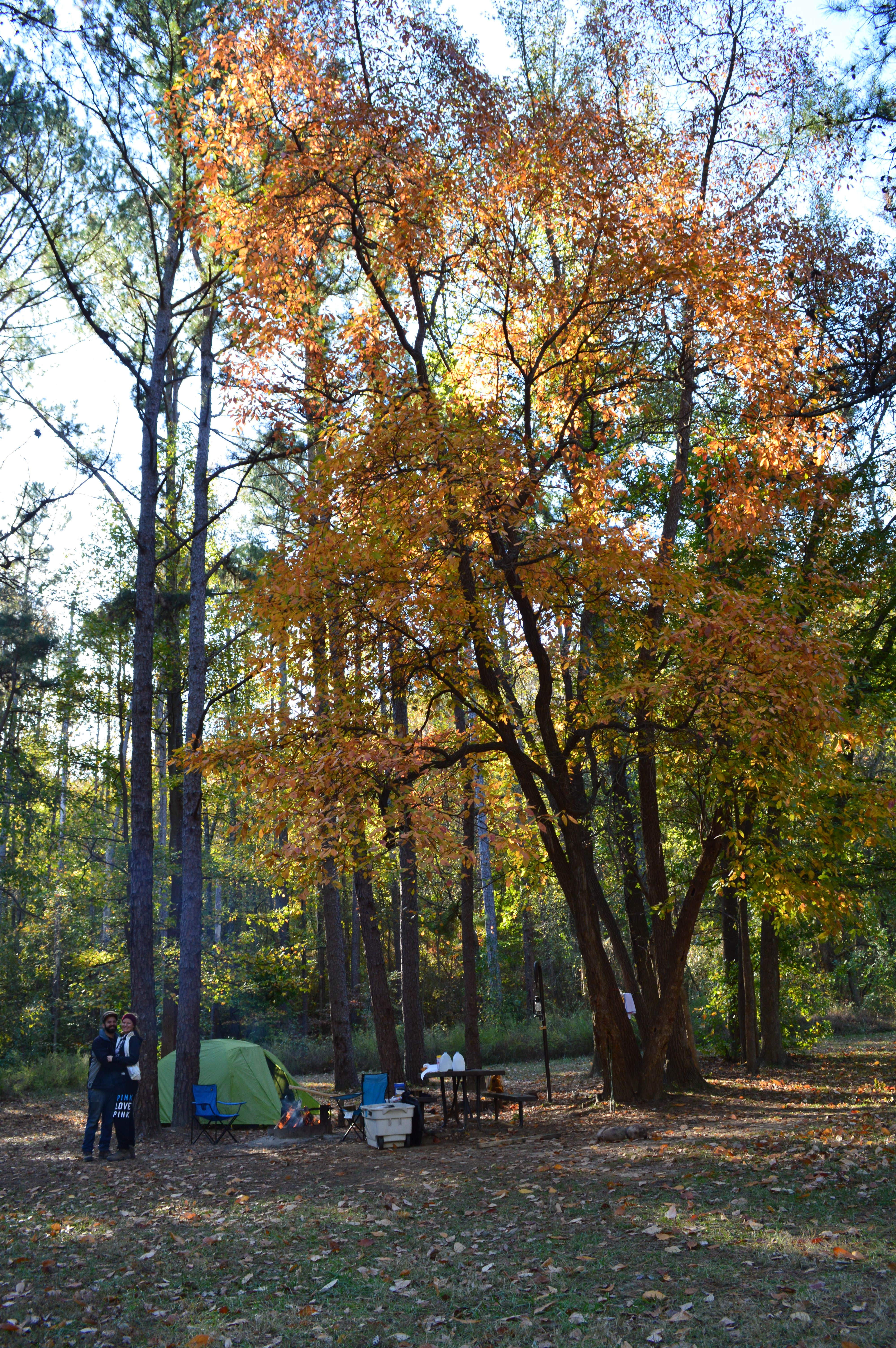 Camper-submitted photo at Kyles Landing Campground — Buffalo National River near Branson, MO