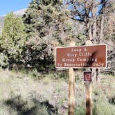 Review photo of Grey Cliffs Campground — Great Basin National Park by Dexter I., July 20, 2022