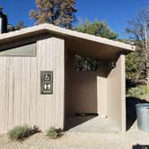 Review photo of Grey Cliffs Campground — Great Basin National Park by Dexter I., July 20, 2022