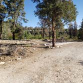 Review photo of Grey Cliffs Campground — Great Basin National Park by Dexter I., July 20, 2022
