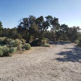 Review photo of Grey Cliffs Campground — Great Basin National Park by Dexter I., July 20, 2022