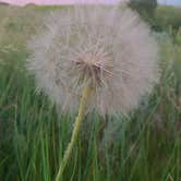 Review photo of Dispersed Site - Grassland Boondocking by Nathan B., July 20, 2022