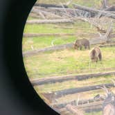 Review photo of Grant Village Campground — Yellowstone National Park by Nathan B., July 20, 2022