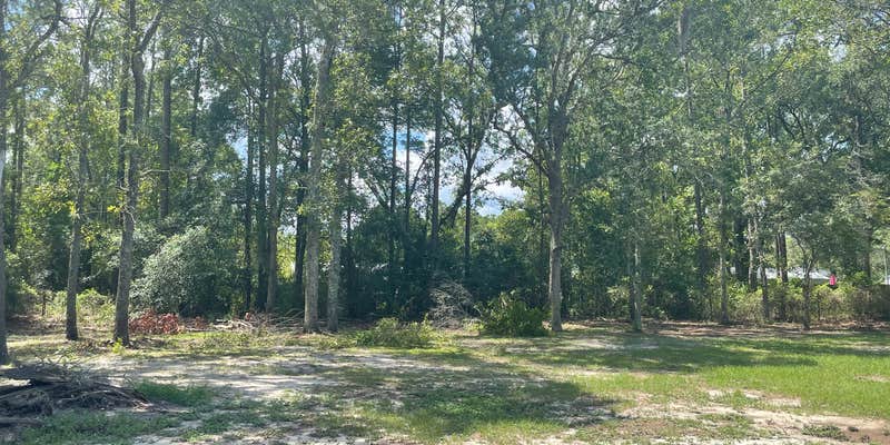 Camper submitted image from Nomadic Stay in Yulee, FL