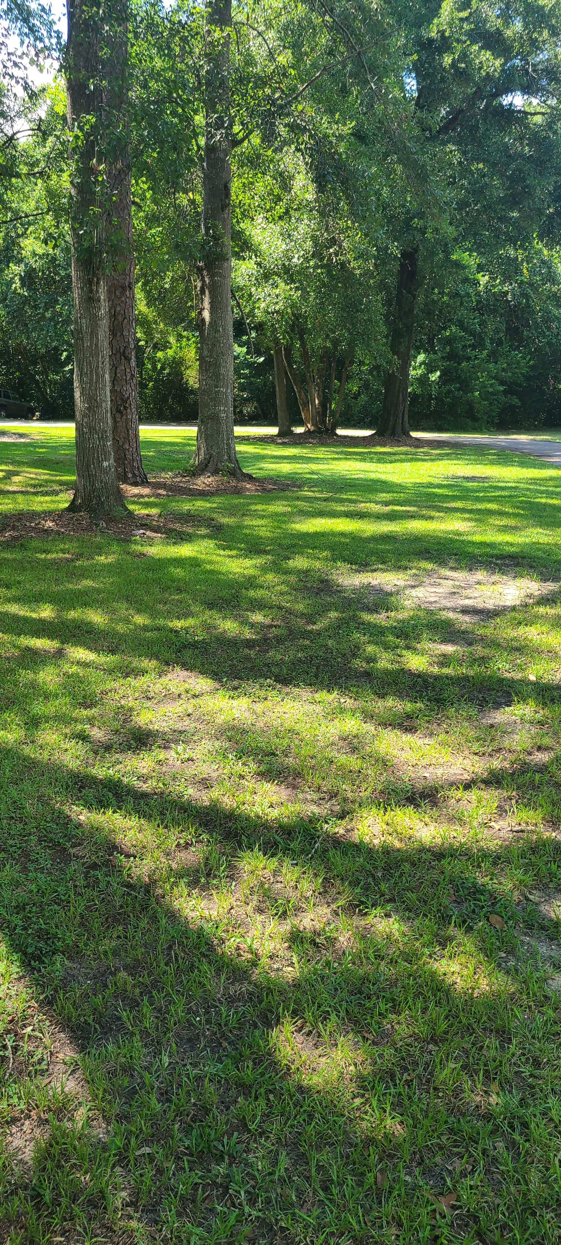 Camping near Shady Grove Campground: Shady Acres Campground, Mobile, Alabama