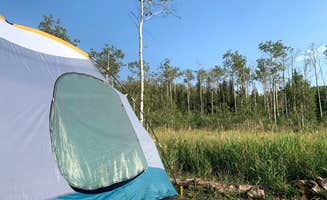 Alyson M.'s photo of tent camping at Antelope Springs Designated Dispersed Camping Sites 1-8 near Felt, ID