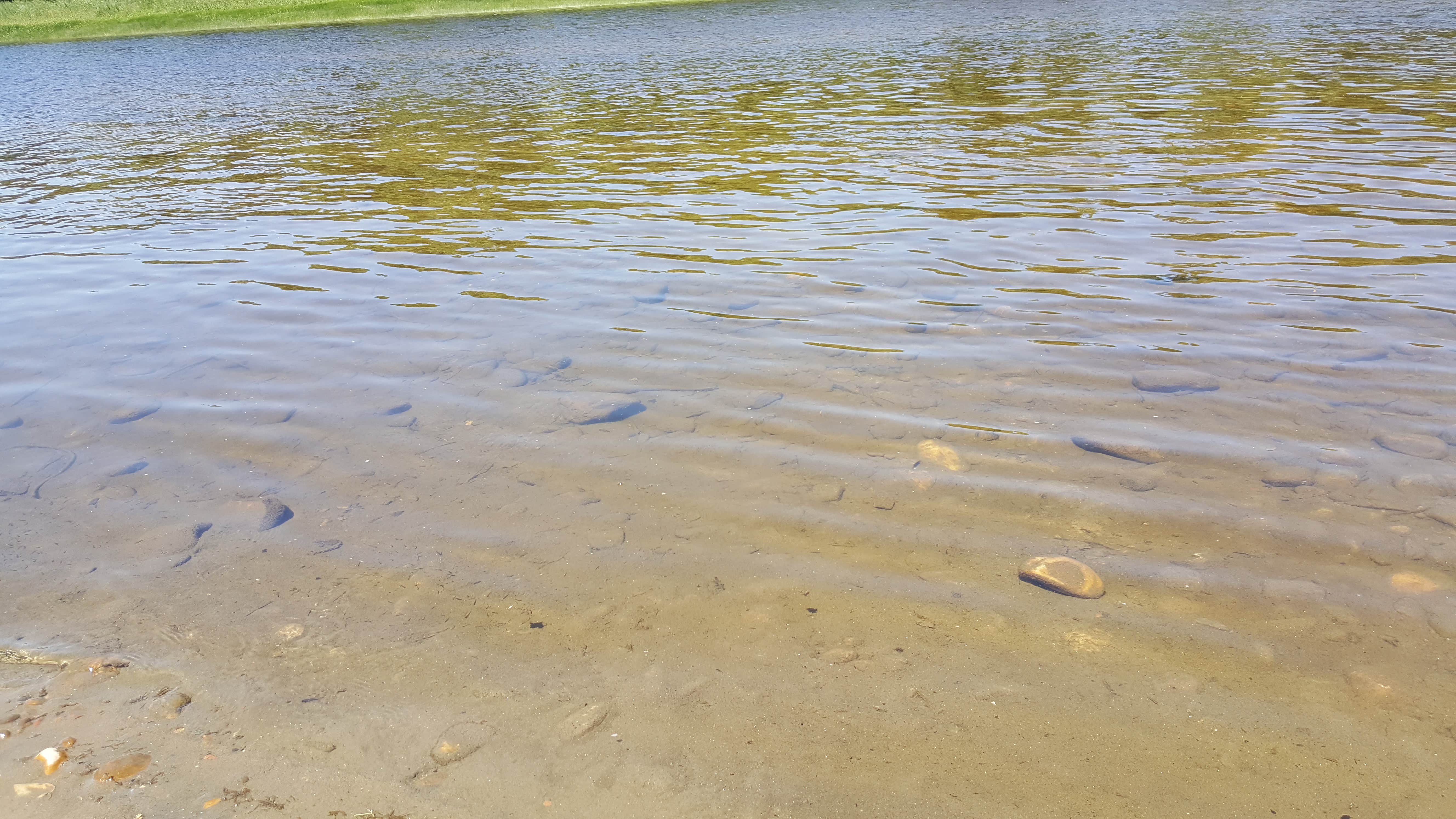 Camper-submitted photo at Pick Bridge Road near Saratoga, WY