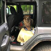 Review photo of Silver Lake State Park Campground by Danielle R., July 20, 2018