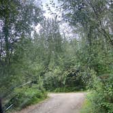 Review photo of Chena River Dispersed by Riley N., July 20, 2022