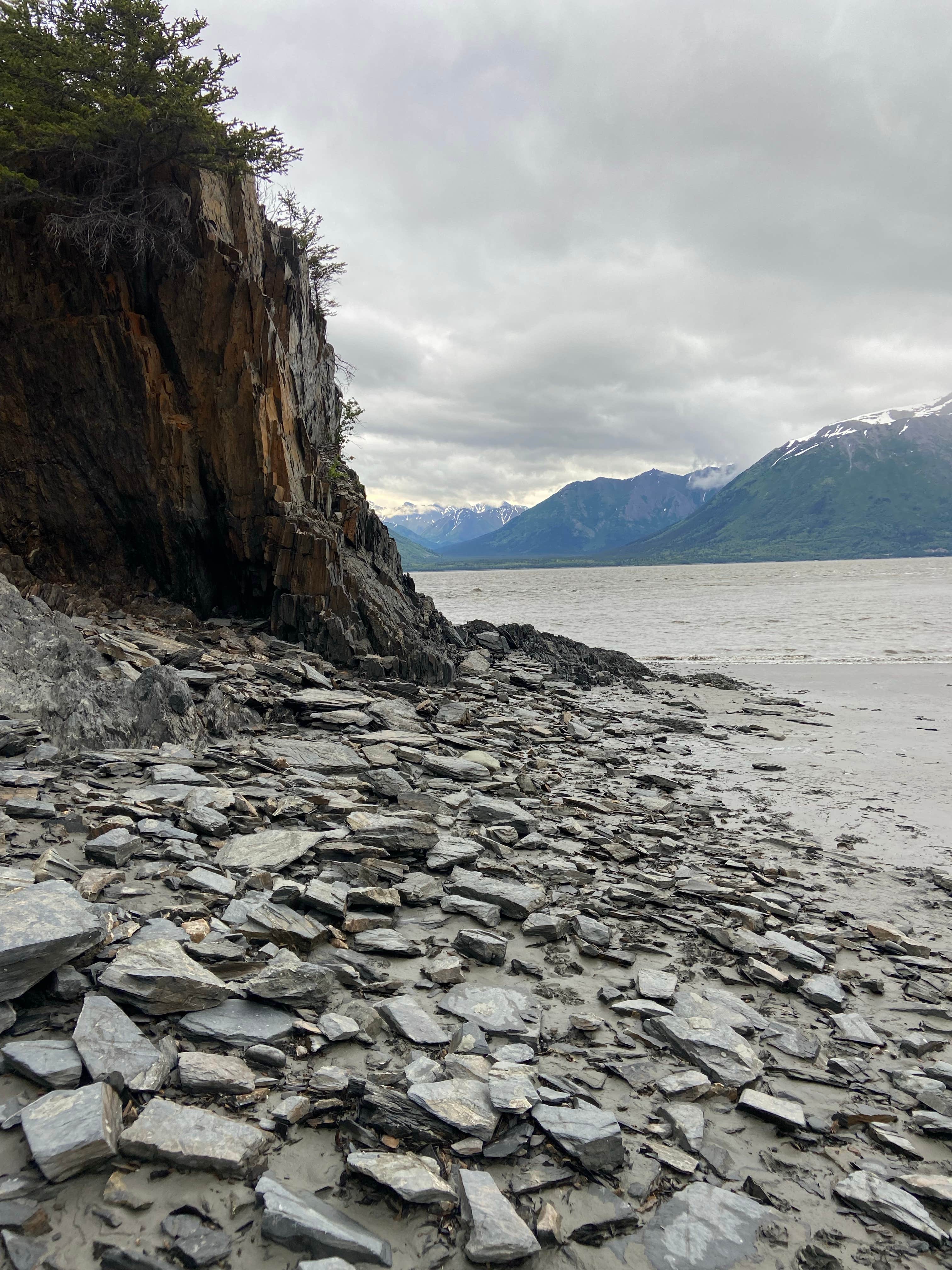 Camper submitted image from NF FH-14 Pullout Dispersed - Chugach NF - 2