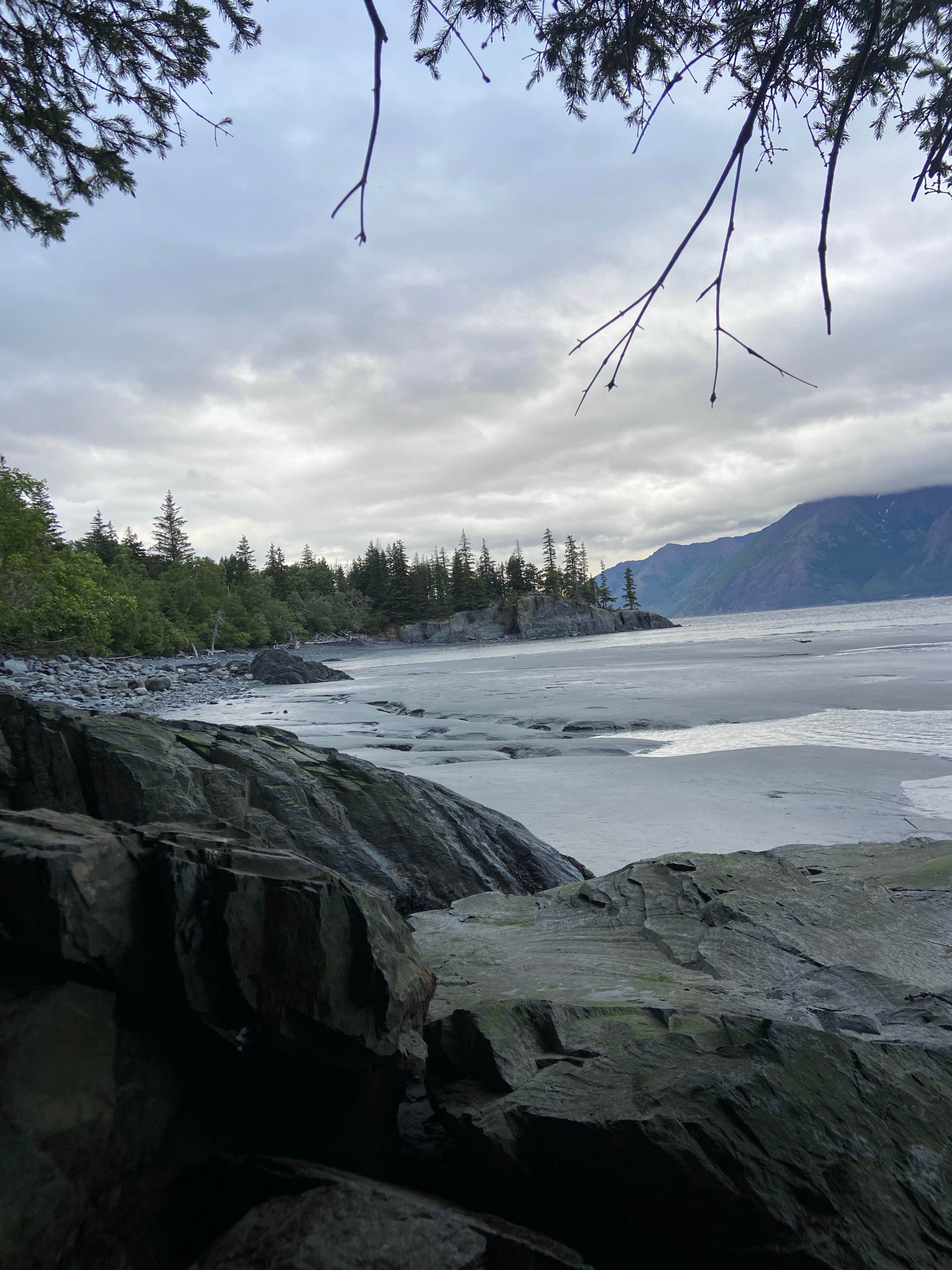 Camper submitted image from NF FH-14 Pullout Dispersed - Chugach NF - 1