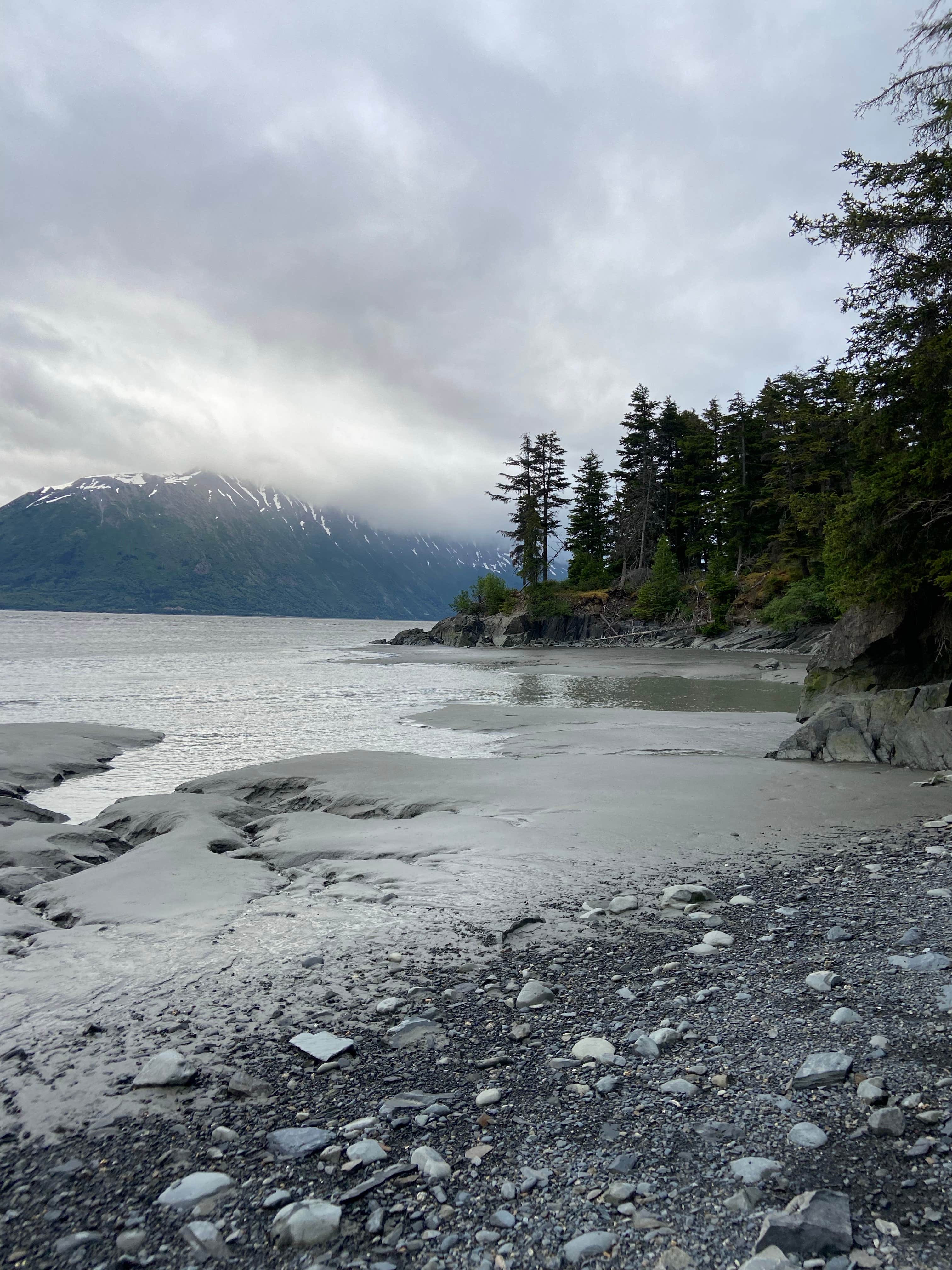 Camper submitted image from NF FH-14 Pullout Dispersed - Chugach NF - 3