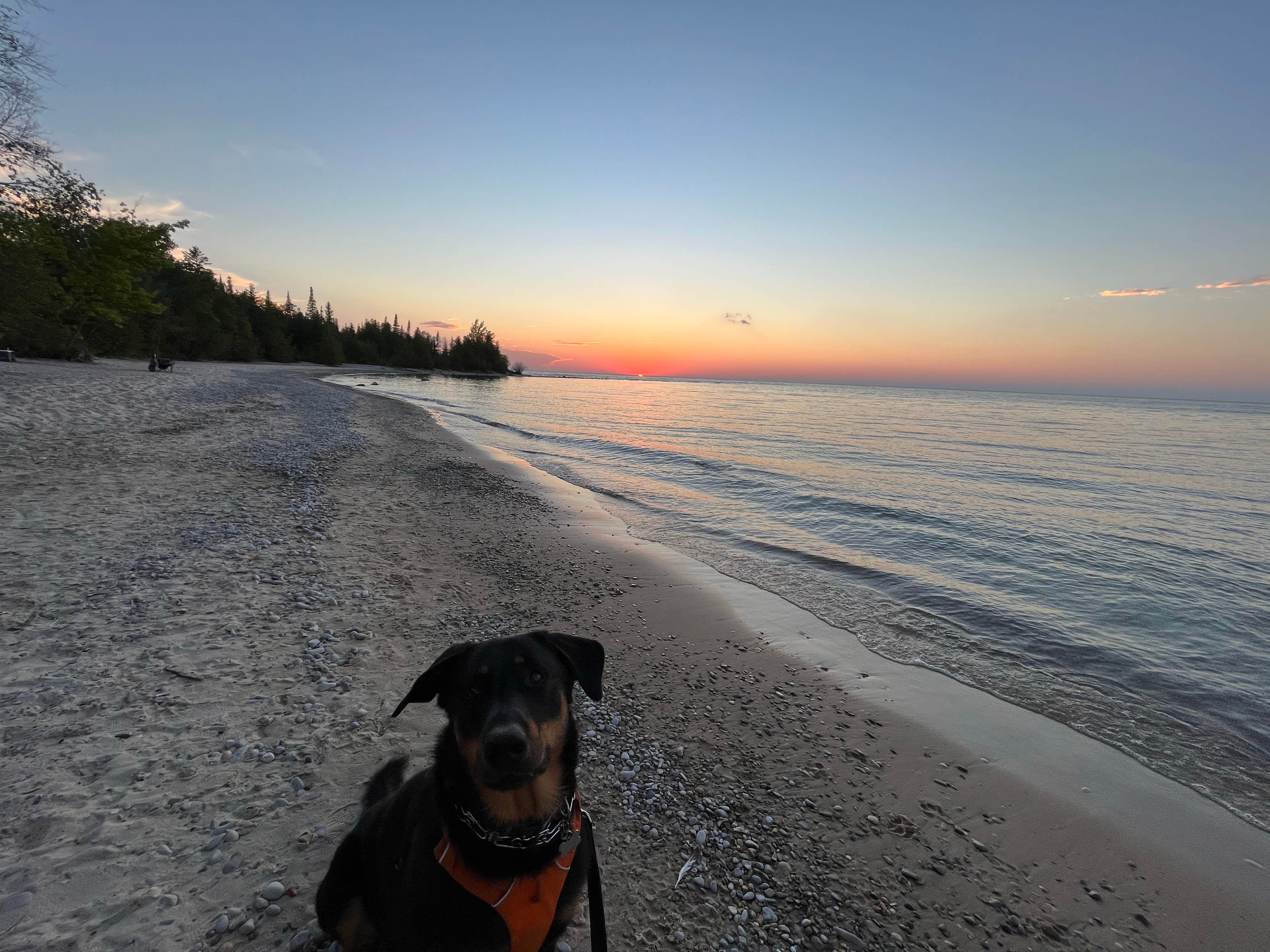CHris B.'s photo of camping with pets at Fisherman's Island State Park Campground near Elmira, MI