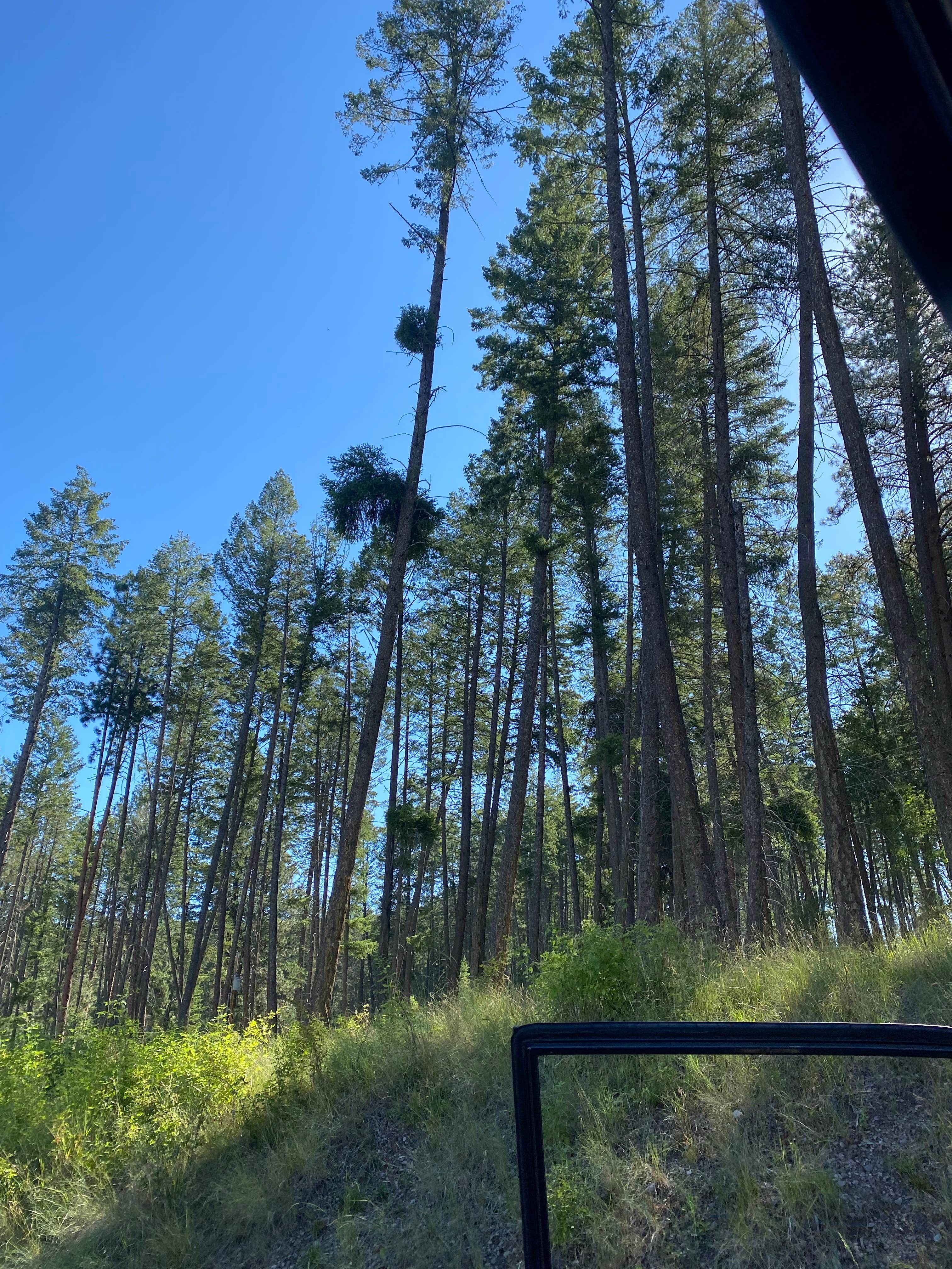 Camper-submitted photo at Finley Point Unit — Flathead Lake State Park near Flathead National Forest