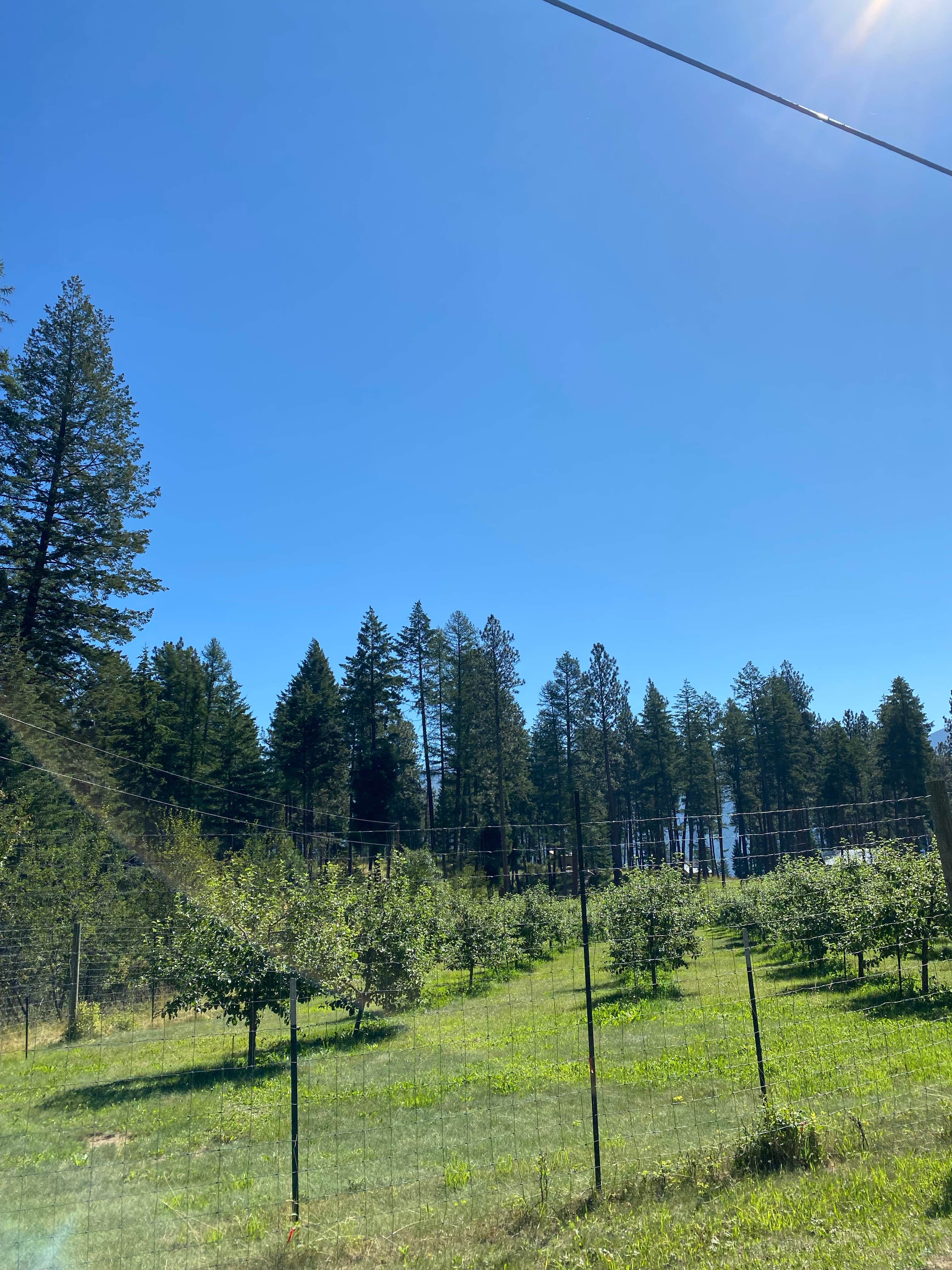 Camper-submitted photo at Finley Point Unit — Flathead Lake State Park near Flathead National Forest