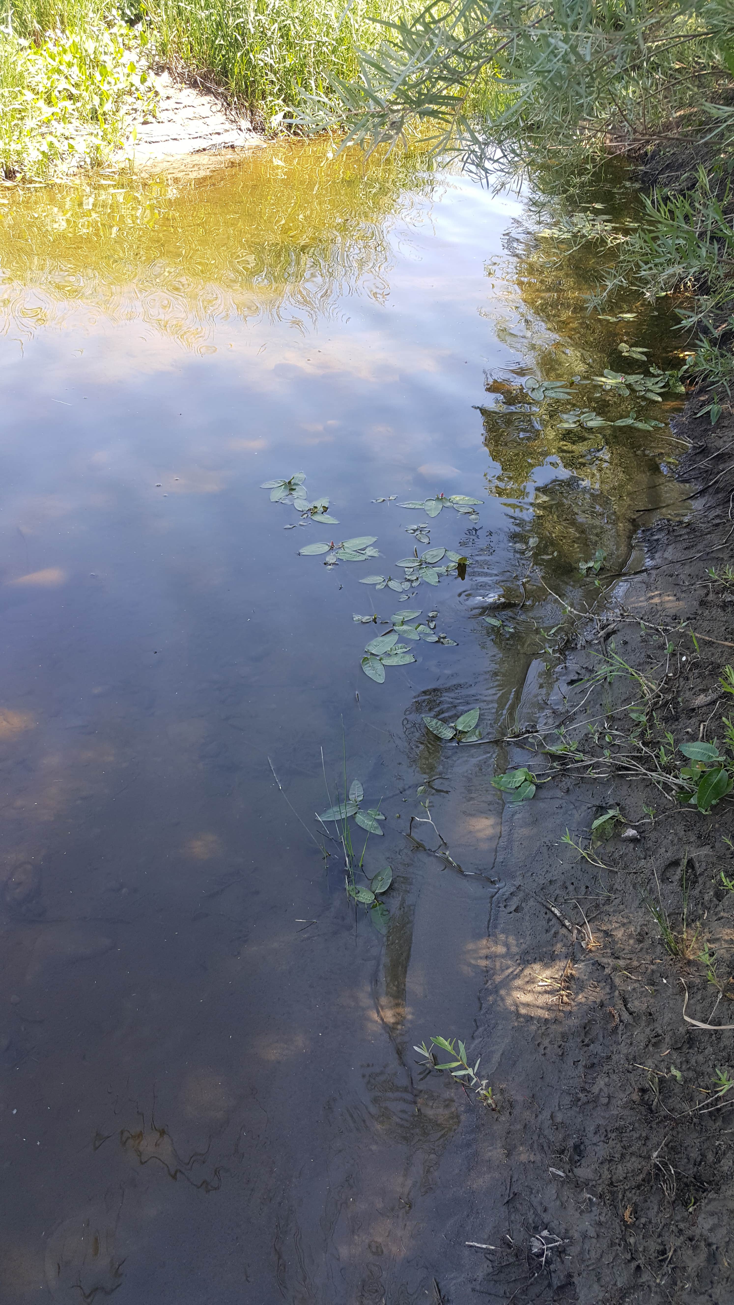 Camper-submitted photo at Pick Bridge Road near Saratoga, WY