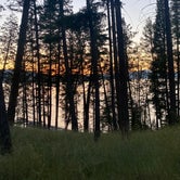 Review photo of Finley Point Unit — Flathead Lake State Park by Alyssa L., July 20, 2022