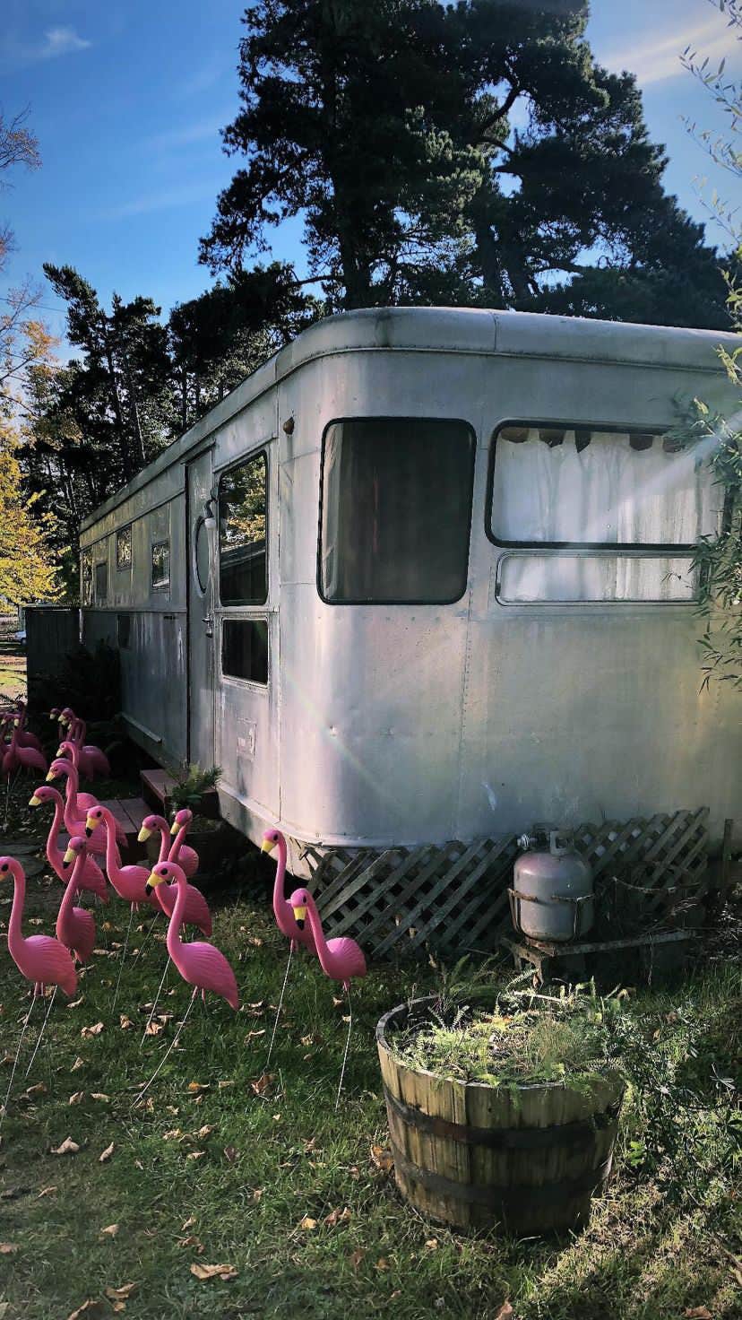 Alyssa L.'s photo of rv camping at Sou'wester Lodge and Oceanside RV Park near Hammond, OR