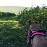 Review photo of Primitive Camping Area — Bald Eagle State Park by Greg A., July 20, 2018