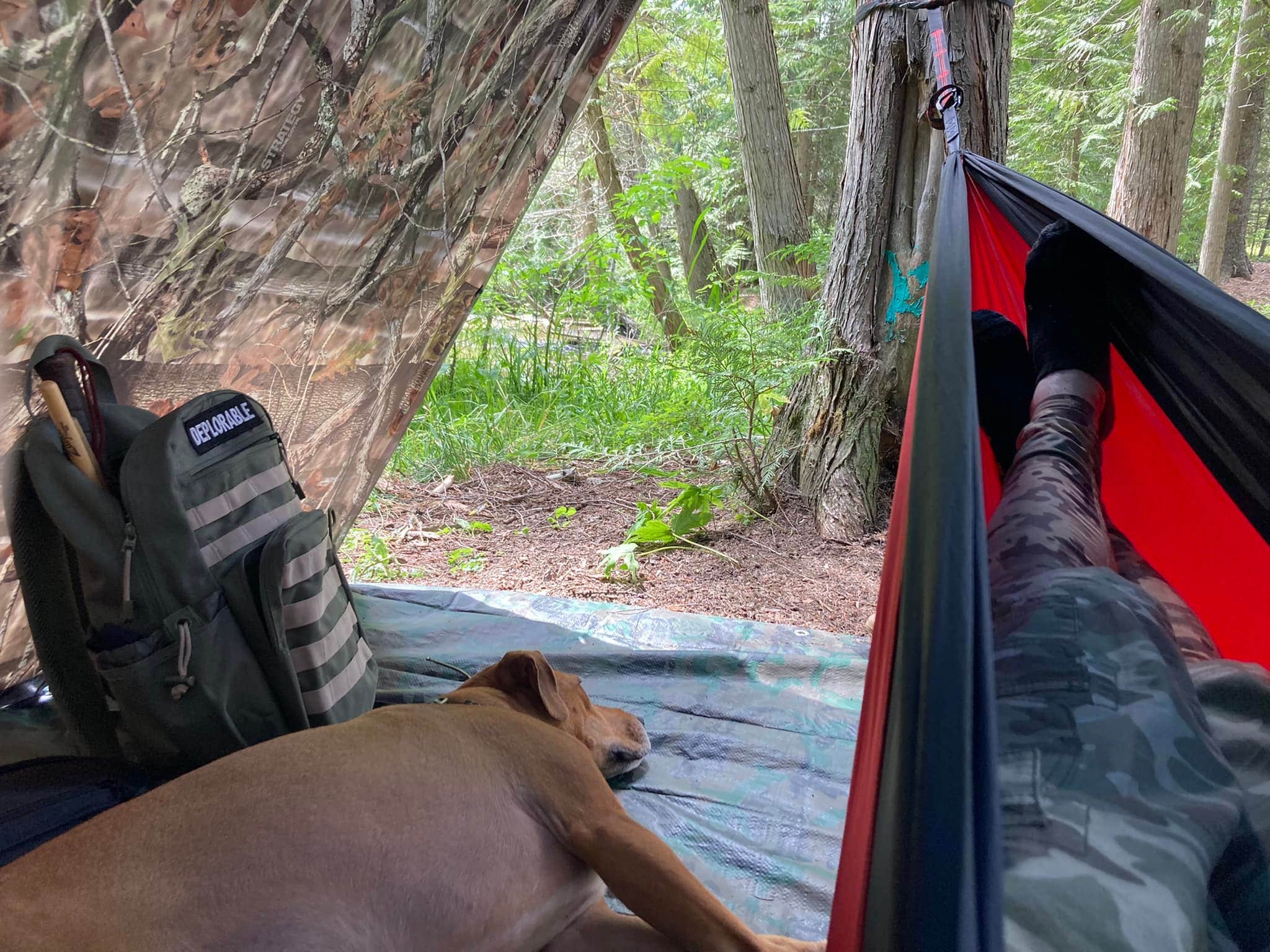 King K.'s photo of camping with pets at North Fork Chewelah Creek near Ione, WA