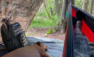 King K.'s photo of camping with pets at North Fork Chewelah Creek near Cusick, WA