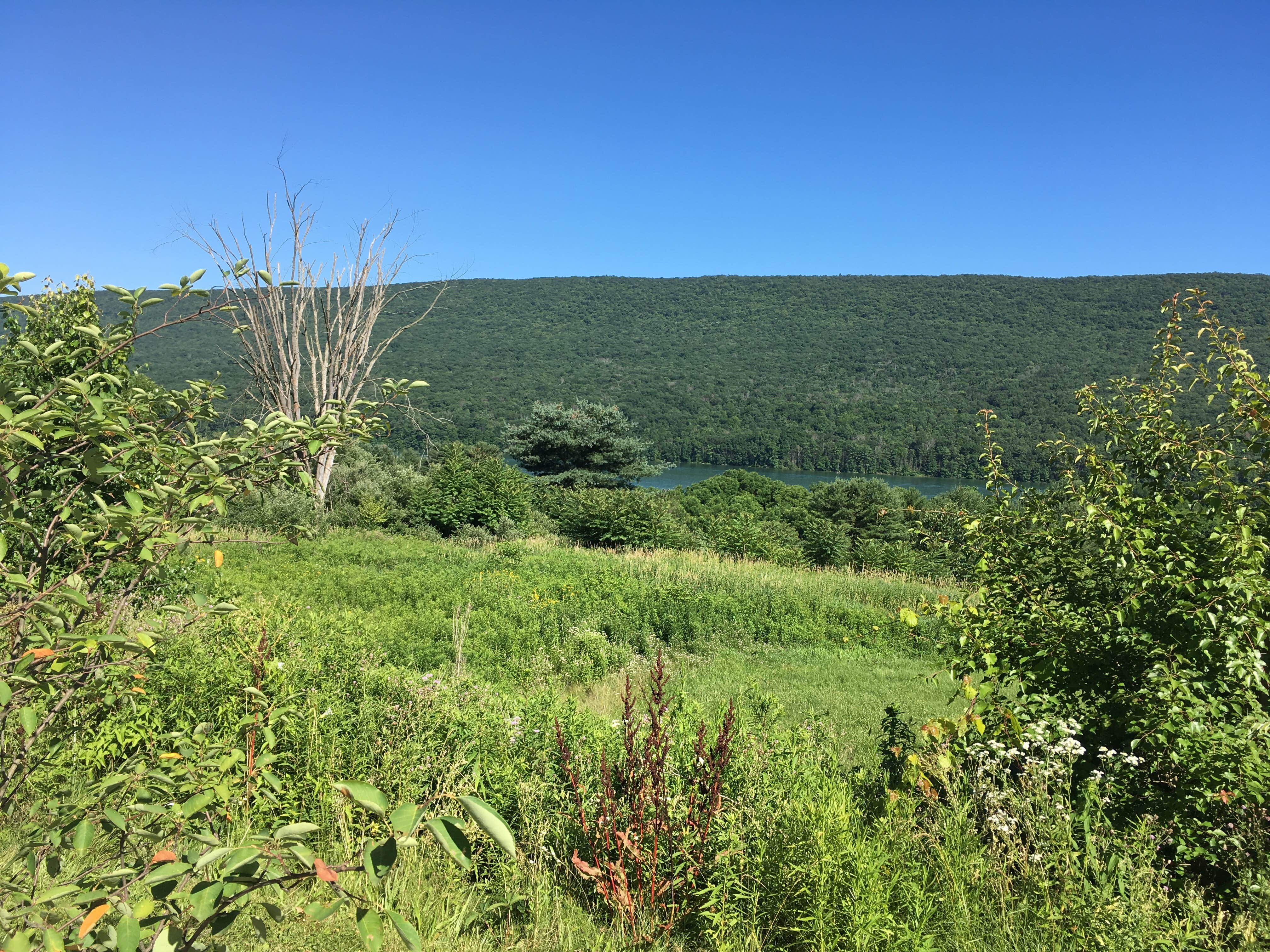 Camper-submitted photo at Primitive Camping Area — Bald Eagle State Park near Lemont, PA