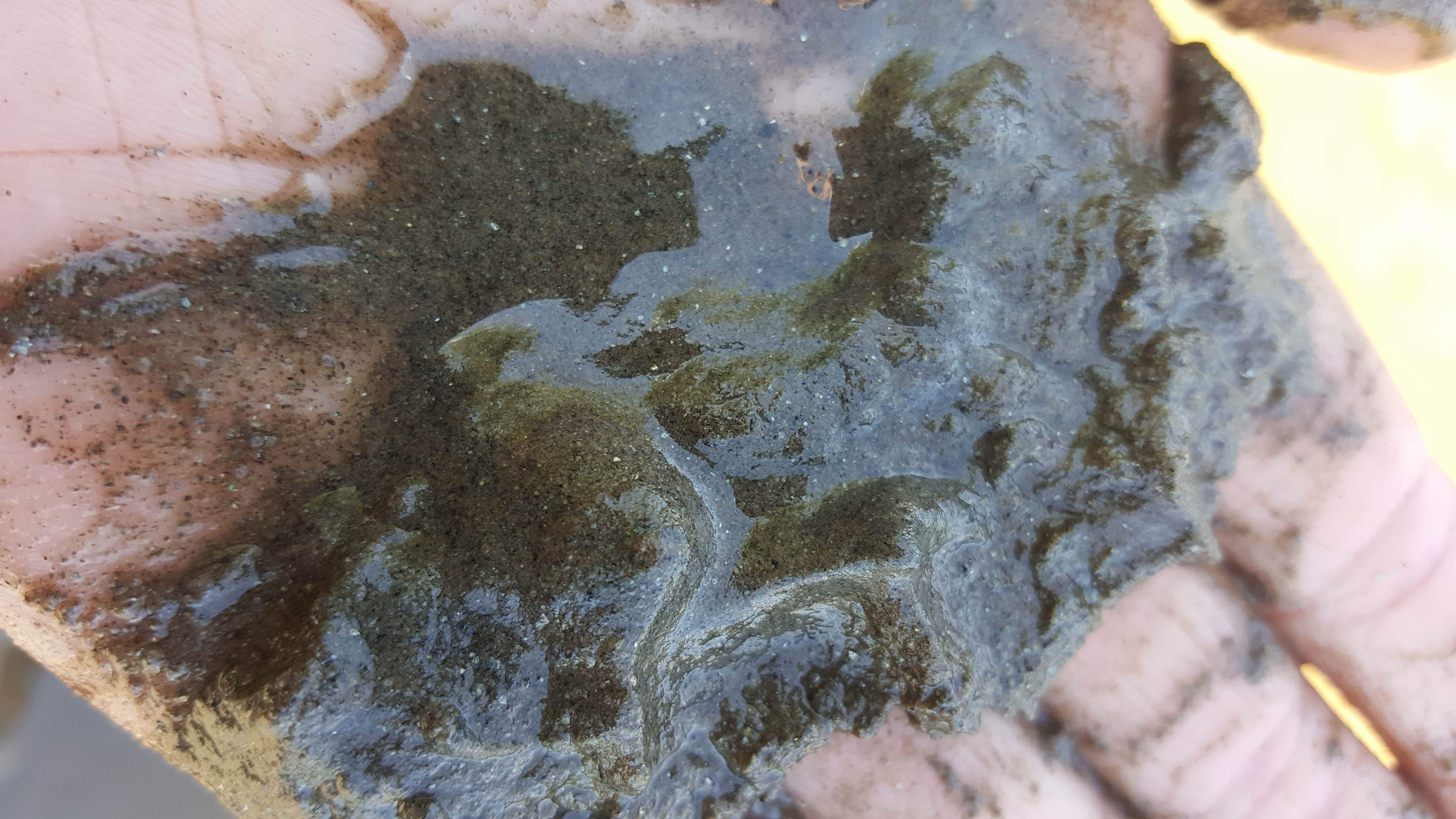 Camper-submitted photo at Pick Bridge Road near Saratoga, WY