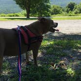 Review photo of Primitive Camping Area — Bald Eagle State Park by Greg A., July 20, 2018