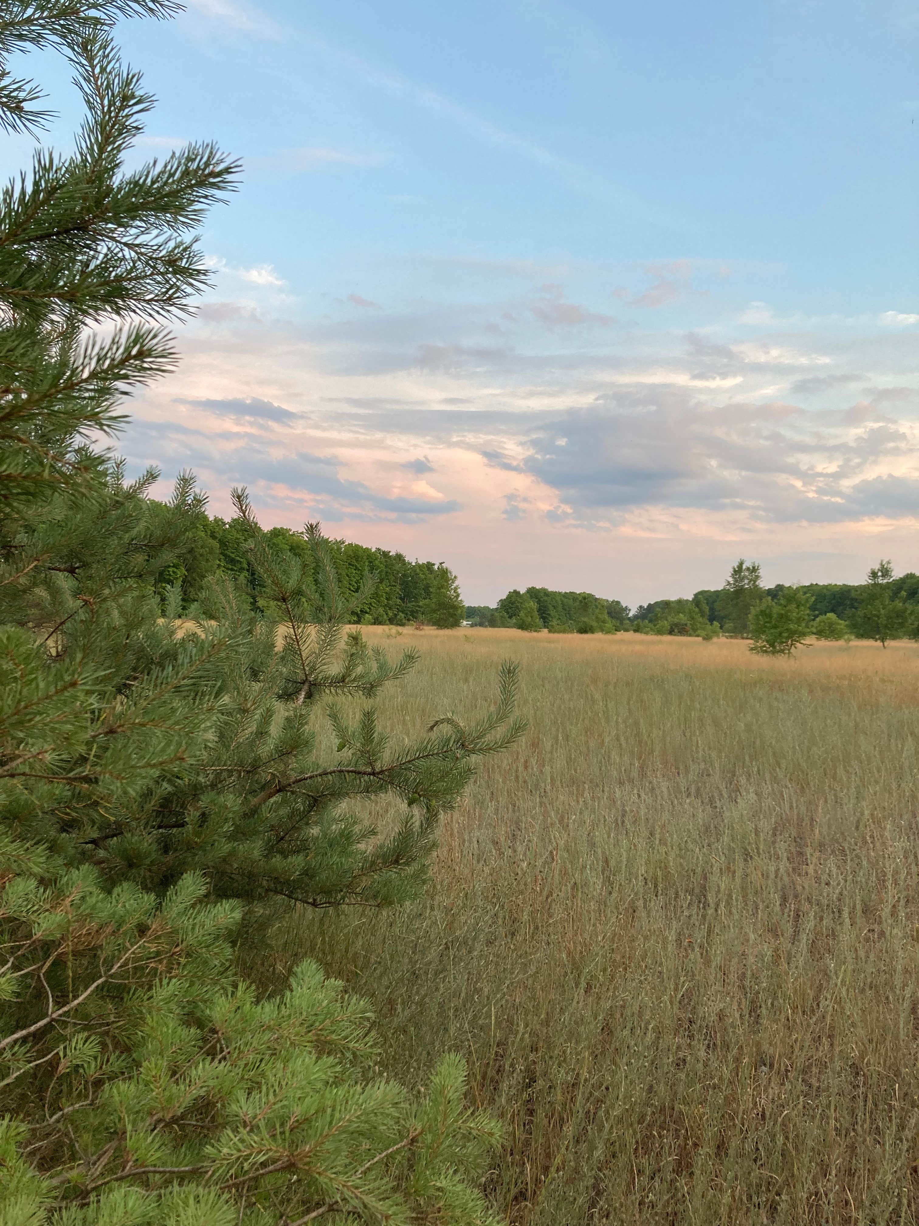 Camping near Manistee River Bridge Campground: Haven Campground, Kalkaska, Michigan