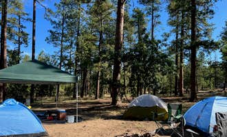Camping near Upper Fossil Creek Dispersed Camping: FS 609 - Dispersed Camping, Strawberry, Arizona