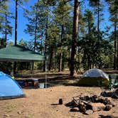 Review photo of FS 609 - Dispersed Camping by Jenae , July 21, 2022