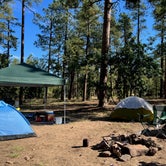 Review photo of FS 609 - Dispersed Camping by Jenae , July 21, 2022