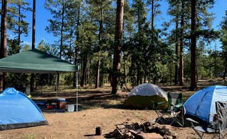 Jenae's photo at FS 609 - Dispersed Camping in Arizona