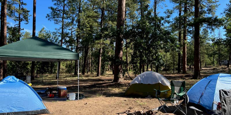 Camper submitted image from FS 609 - Dispersed Camping