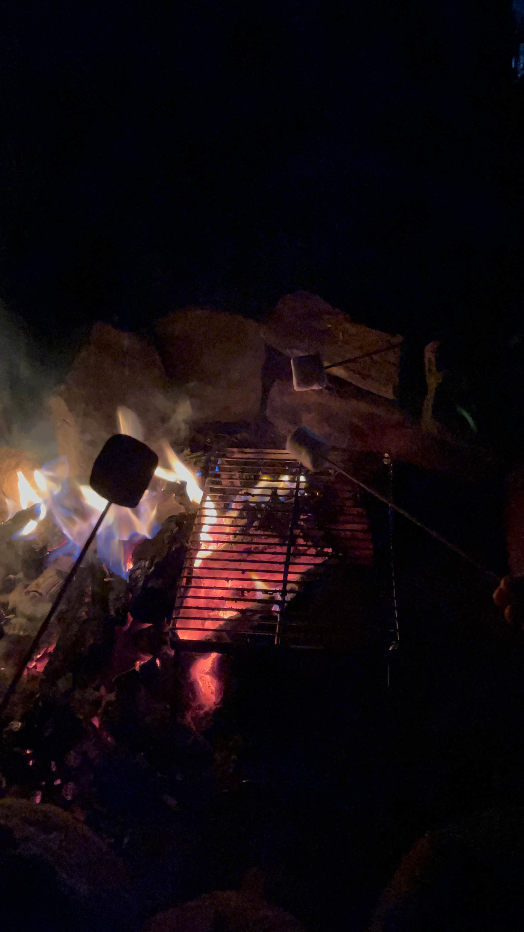 Camper-submitted photo at FS 609 - Dispersed Camping near Payson, AZ