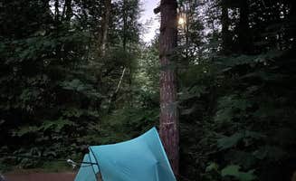 Patrick C.'s photo at Whittaker Creek Recreation Site near Fern Ridge Lake